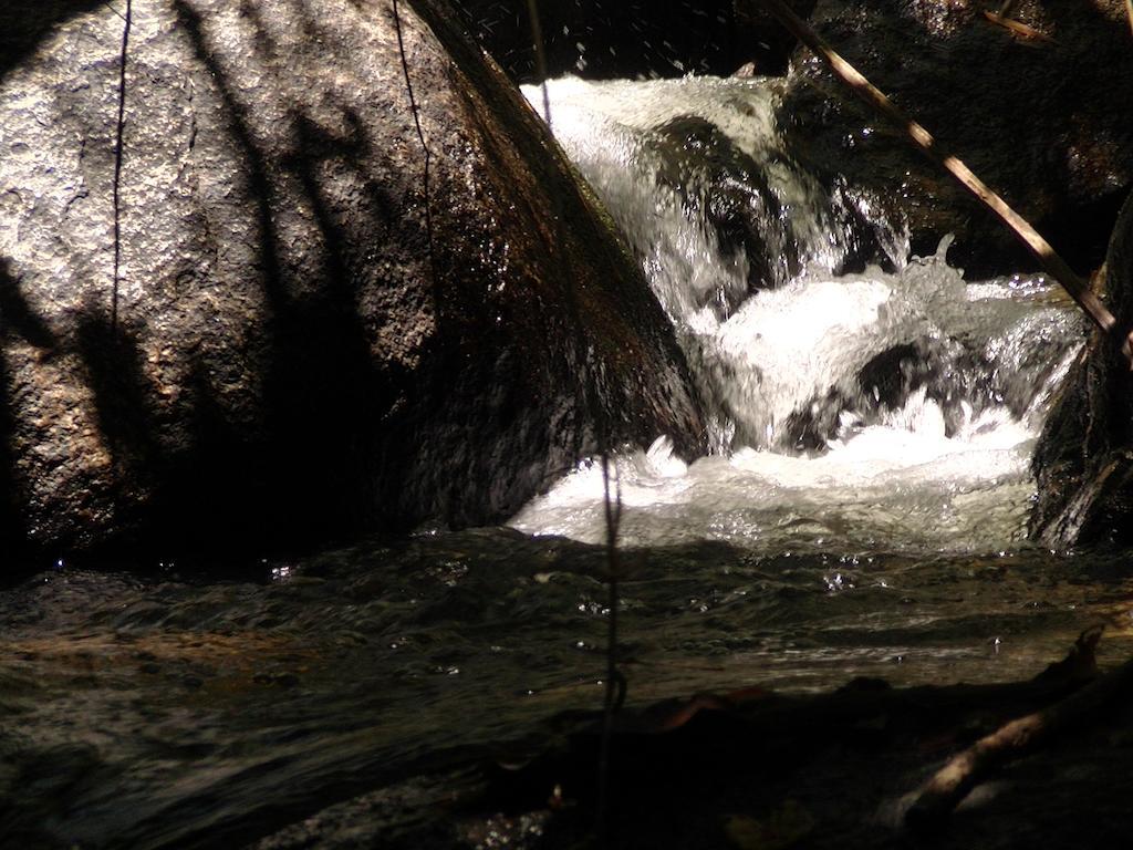 Ytororo O Som Das Aguas Paraty Ngoại thất bức ảnh