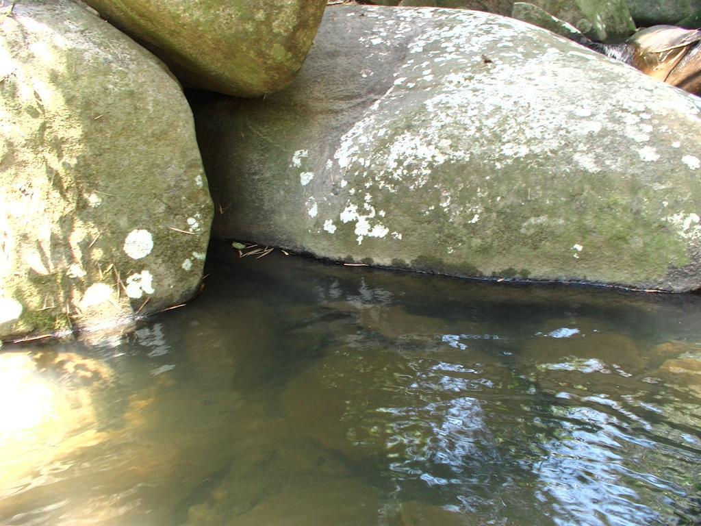Ytororo O Som Das Aguas Paraty Ngoại thất bức ảnh