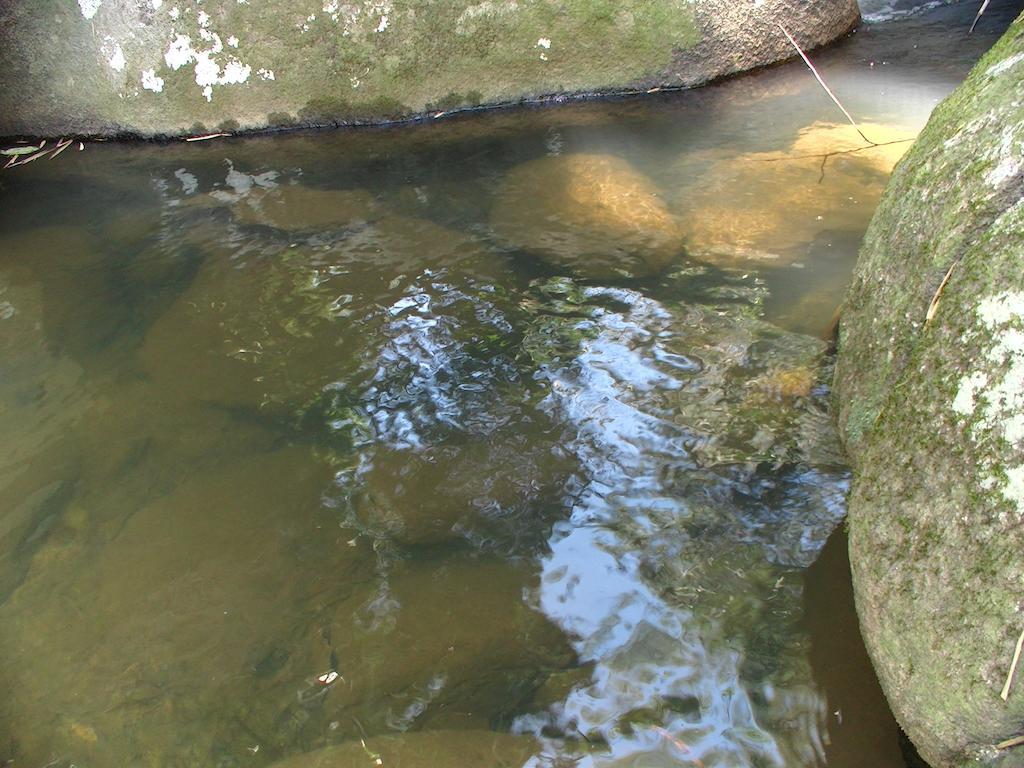 Ytororo O Som Das Aguas Paraty Ngoại thất bức ảnh